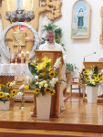 Odpust ku czci świętego o. Pio